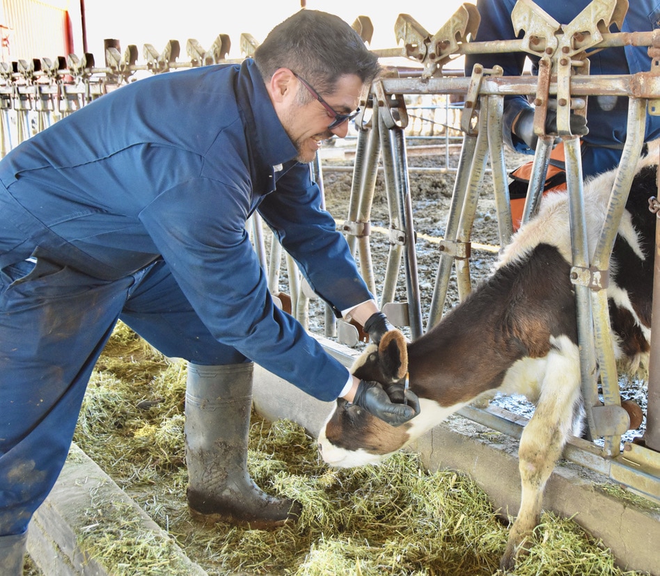 Ken Salazar anuncia proyecto anti tuberculosis bovina
