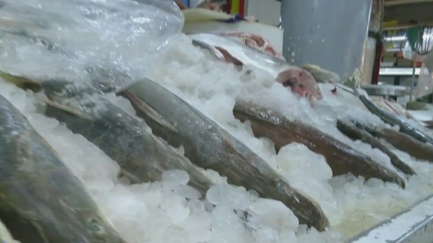 mercado de san juan ofrece variedad de pescados y mariscos para la cuaresma
