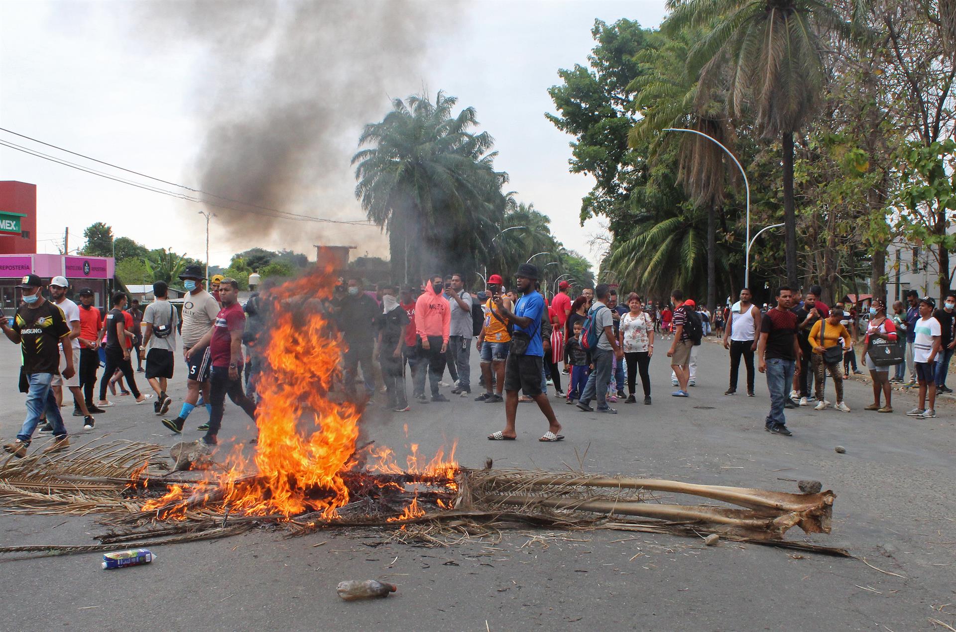Migrantes centroamericanos y africanos queman palmeras durante unos enfrentamientos en Tapachula, México (EFE)
