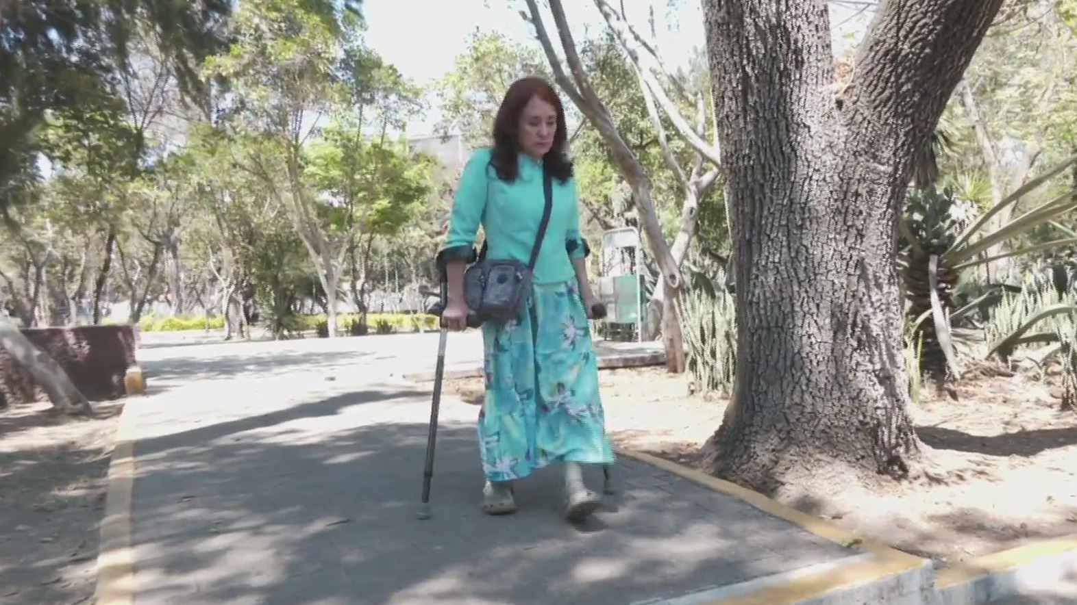 mujeres con discapacidad luchan contra la falta de equidad y por la apertura de espacios incluyentes