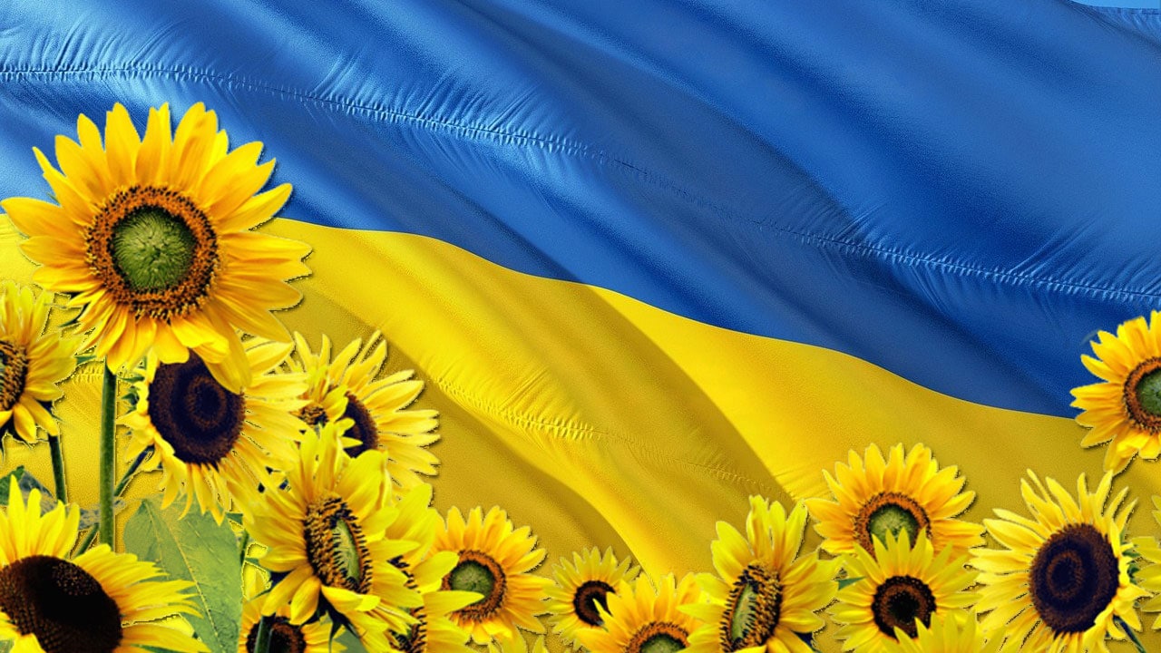 Girasoles son el símbolo de la resistencia de Ucrania