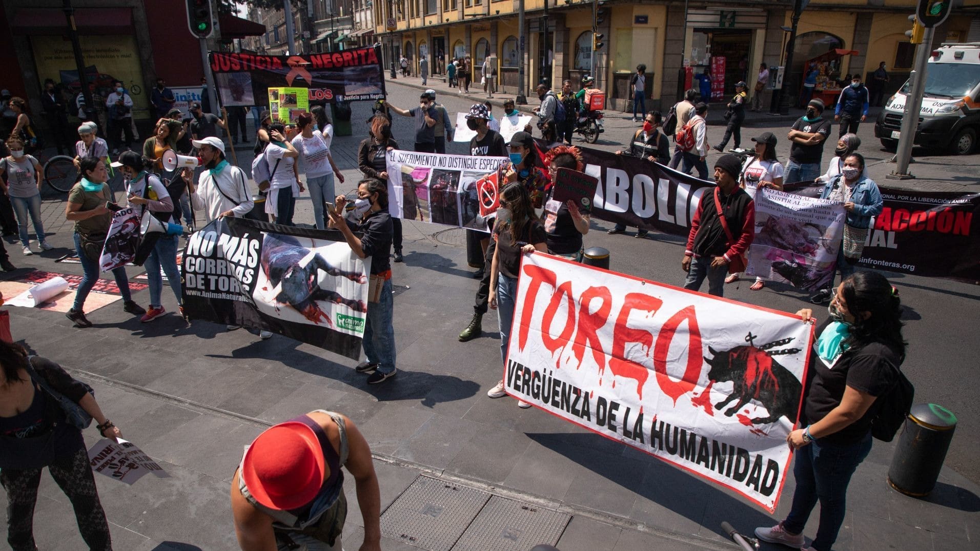 protestan para impulsar la prohibicion de las corridas de toros en la ciudad de mexico