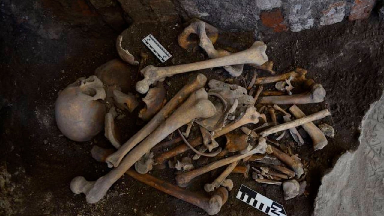 Encuentran un grupo de entierros humanos en Puebla, datan de 1862 y 1867 (INAH)