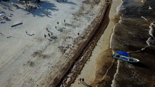 se registra llegada masiva de sargazo a playas en quintana roo