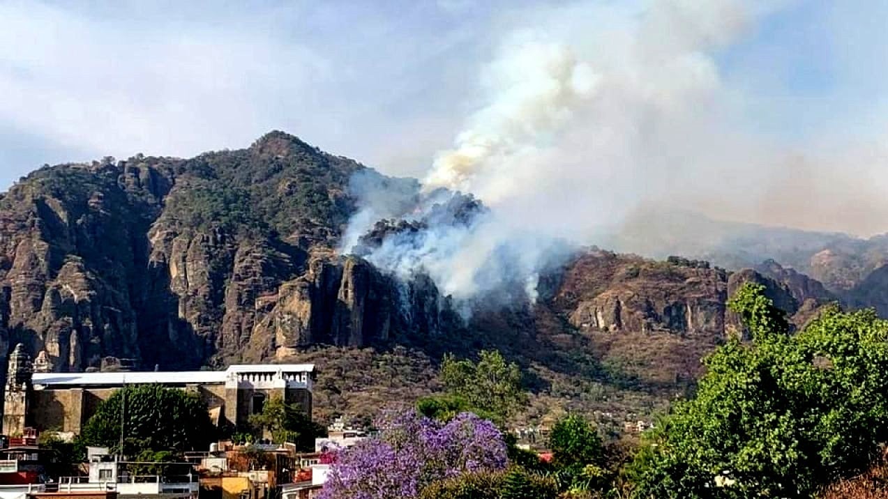 Se registra incendio forestal en cerro de Tepoztlán, Morelos