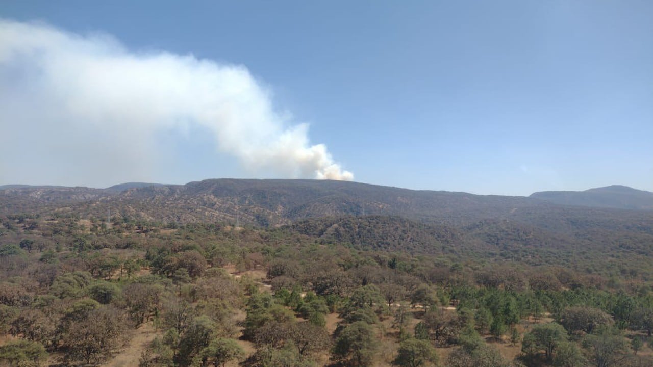 Sofocan incendio en Bosque de La Primavera, en Jalisco