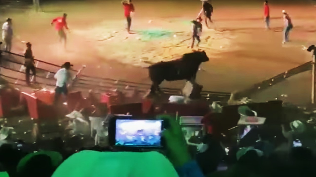 Video: Toro bravo sale del ruedo y embiste a los asistentes de un jaripeo en Tirepetío, Michoacán