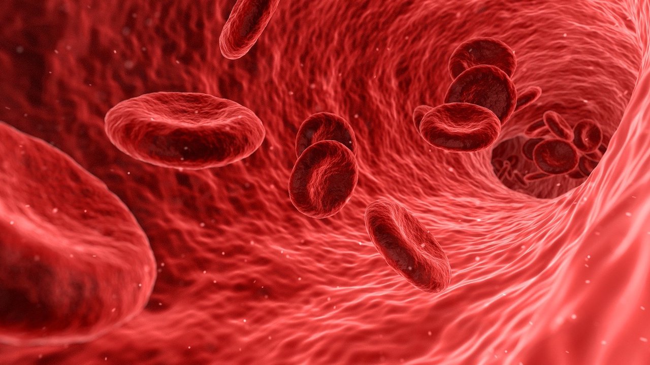 Microplásticos torrente sanguíneo