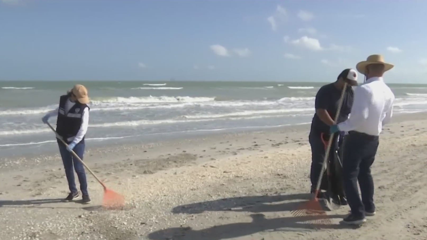 universitarios limpian chapopote en las playas de campeche