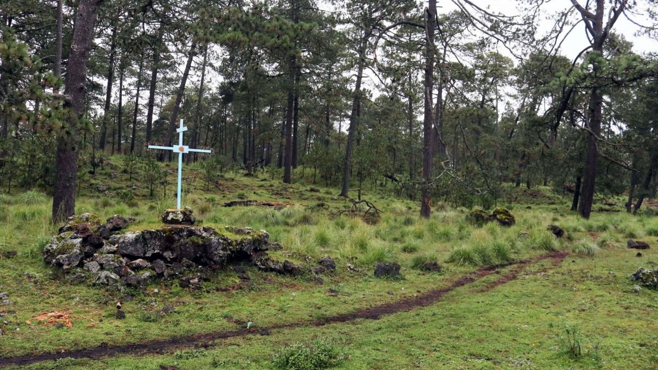 zonas boscosas de la cdmx usadas por feminicidas para abandonar a sus victimas