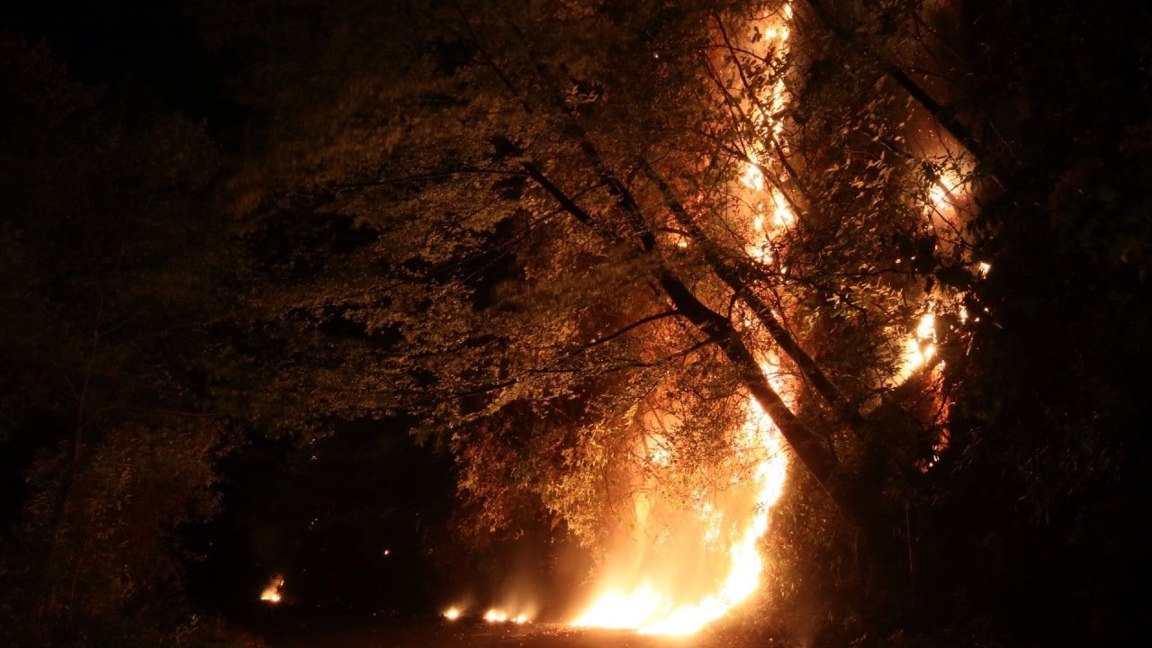 CDMX llama a tomar medidas para evitar incendios forestales