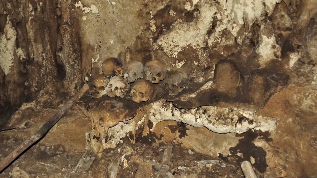 INAH confirma que 150 cráneos hallados en Chiapas son prehispánicos.