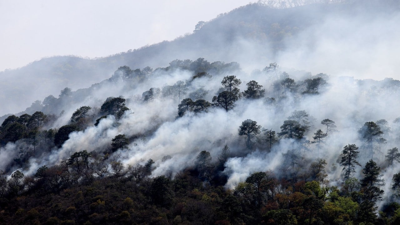 Más de 2 mil incendios forestales han consumido 50 mil hectáreas en lo que va de 2022