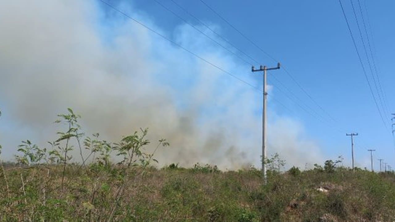 Incendio consume llantas y basura al oriente de Yucatán.