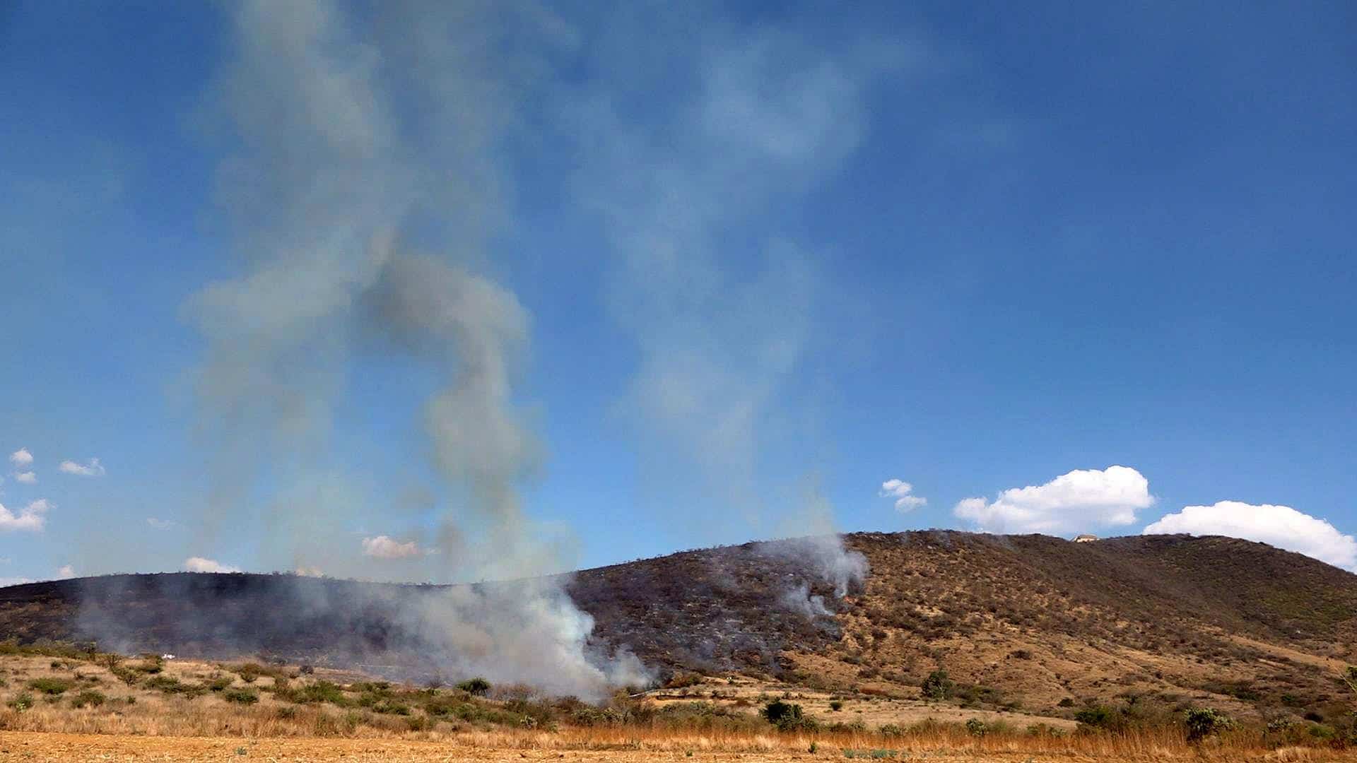 Mueren cuatro comuneros y dos están desaparecidos tras combatir incendio forestal en Oaxaca