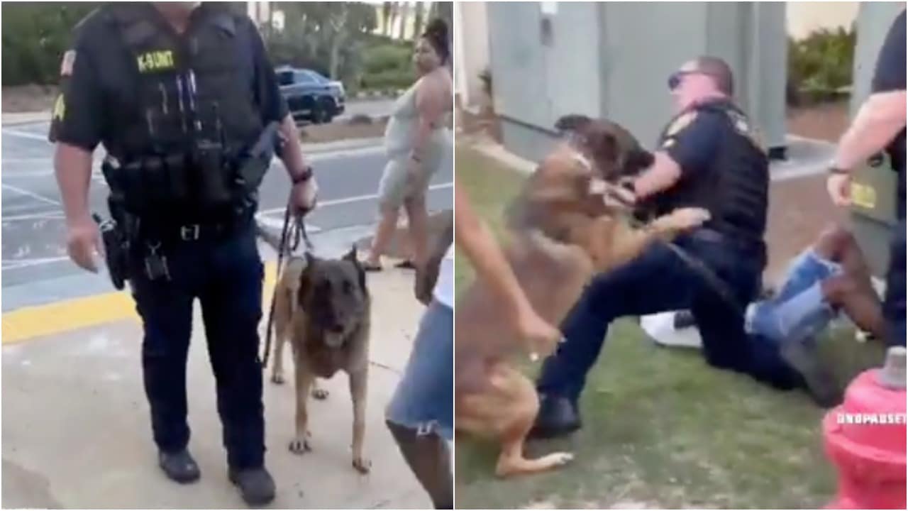 Perro oficial protagoniza ataque contra su oficial y video es viral