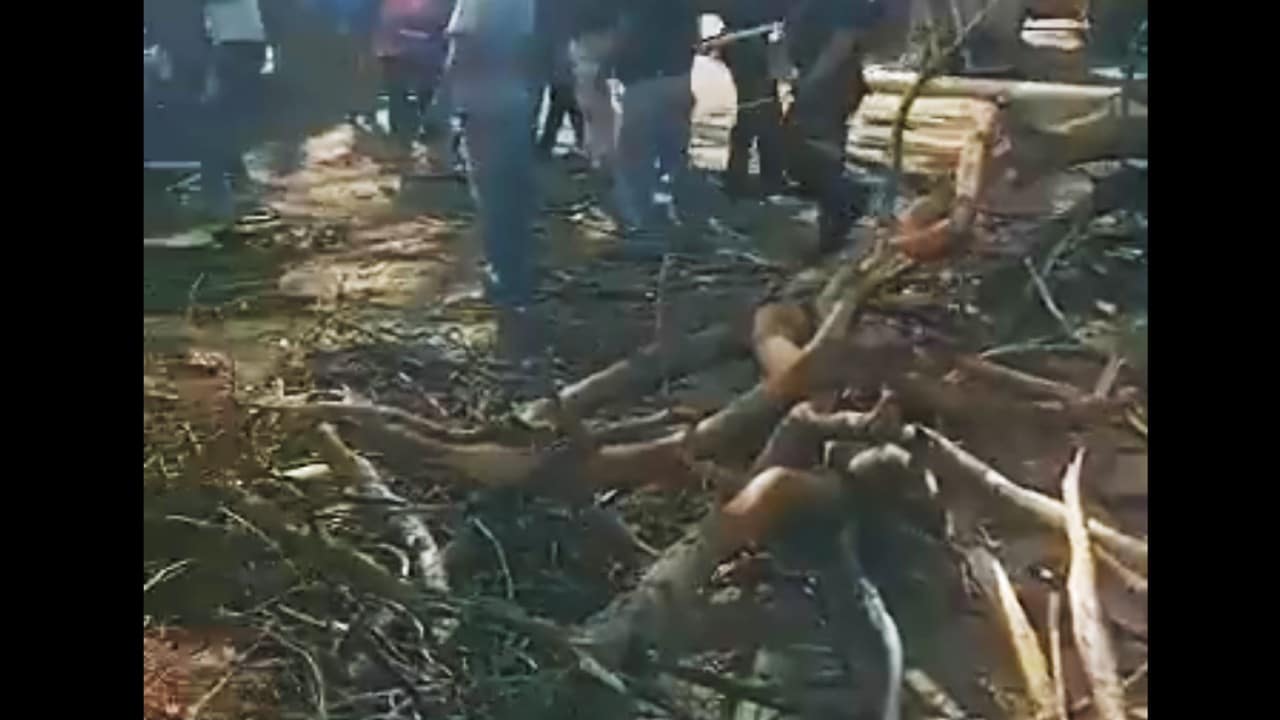 Cae rama de árbol sobre mujer en Santa Cruz Xoxocotlán, Oaxaca