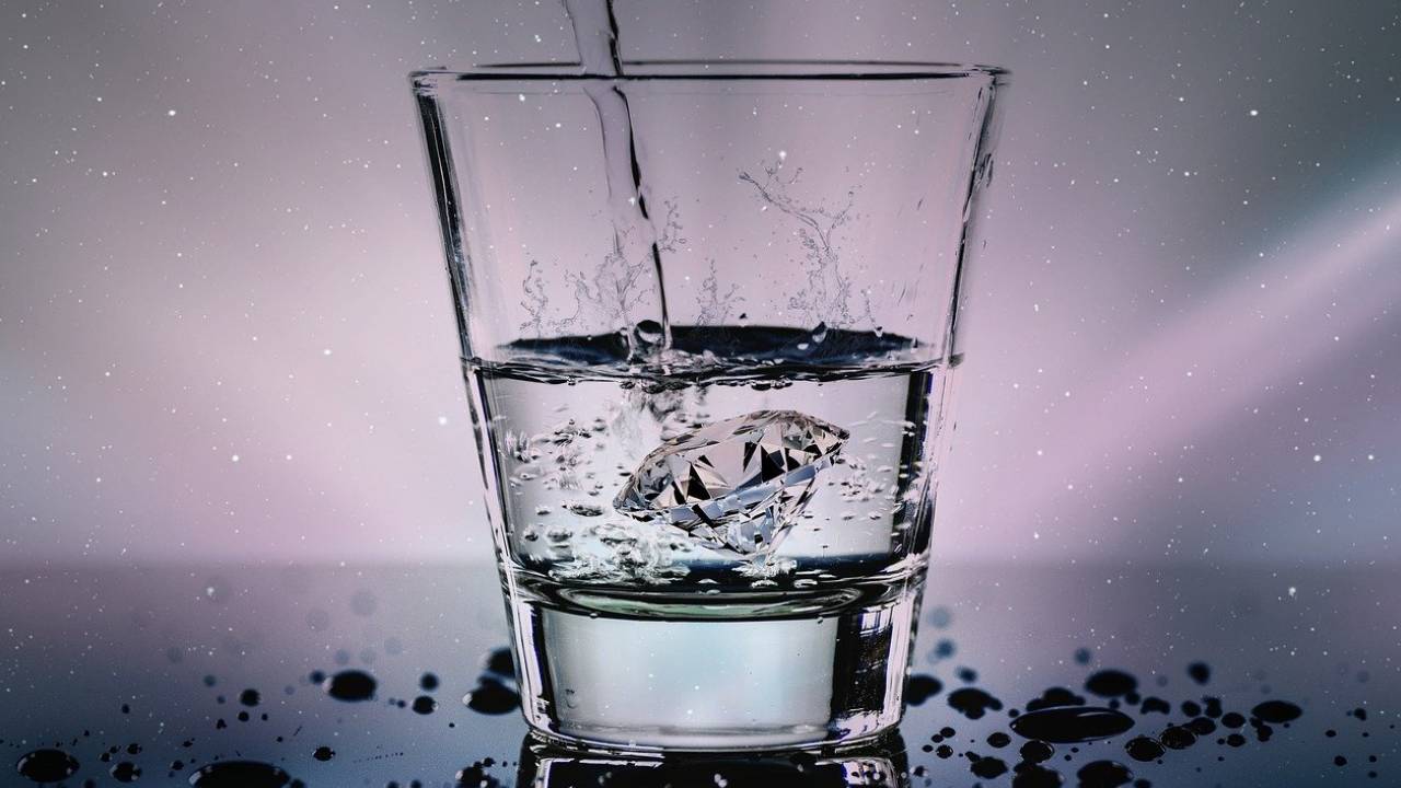 Dos bebidas saludables según Harvard además de agua