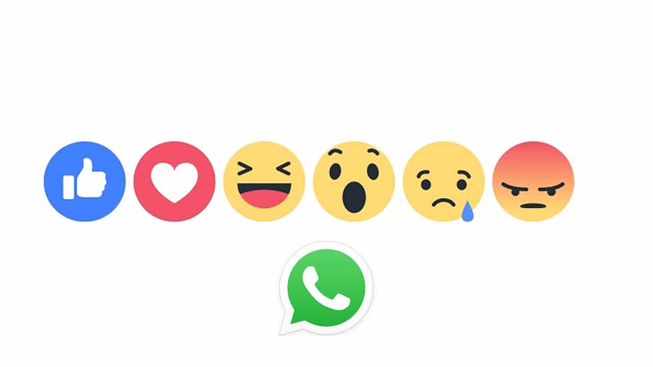 Te decimos cómo reaccionar a los mensajes en la app de WhatsApp