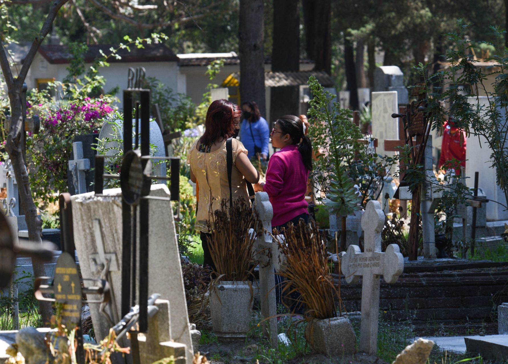 Los panteones en México recibieron la visita de muchas familias que acudieron a limpiar tumbas y dejar flores en el marco del festejo del Día de la Madre (Cuartoscuro)
