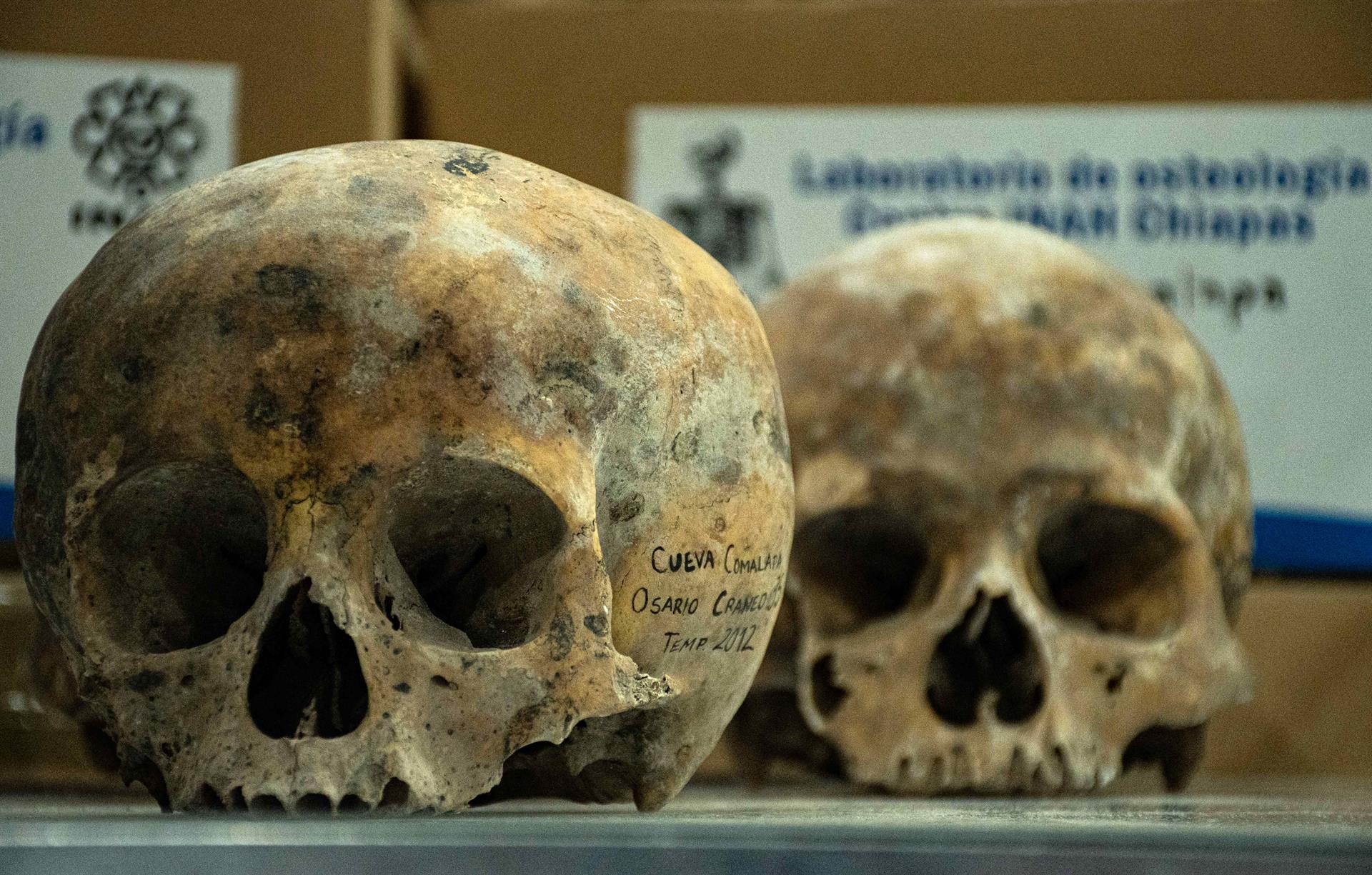 Descubren 150 cráneos de posible altar maya en Chiapas