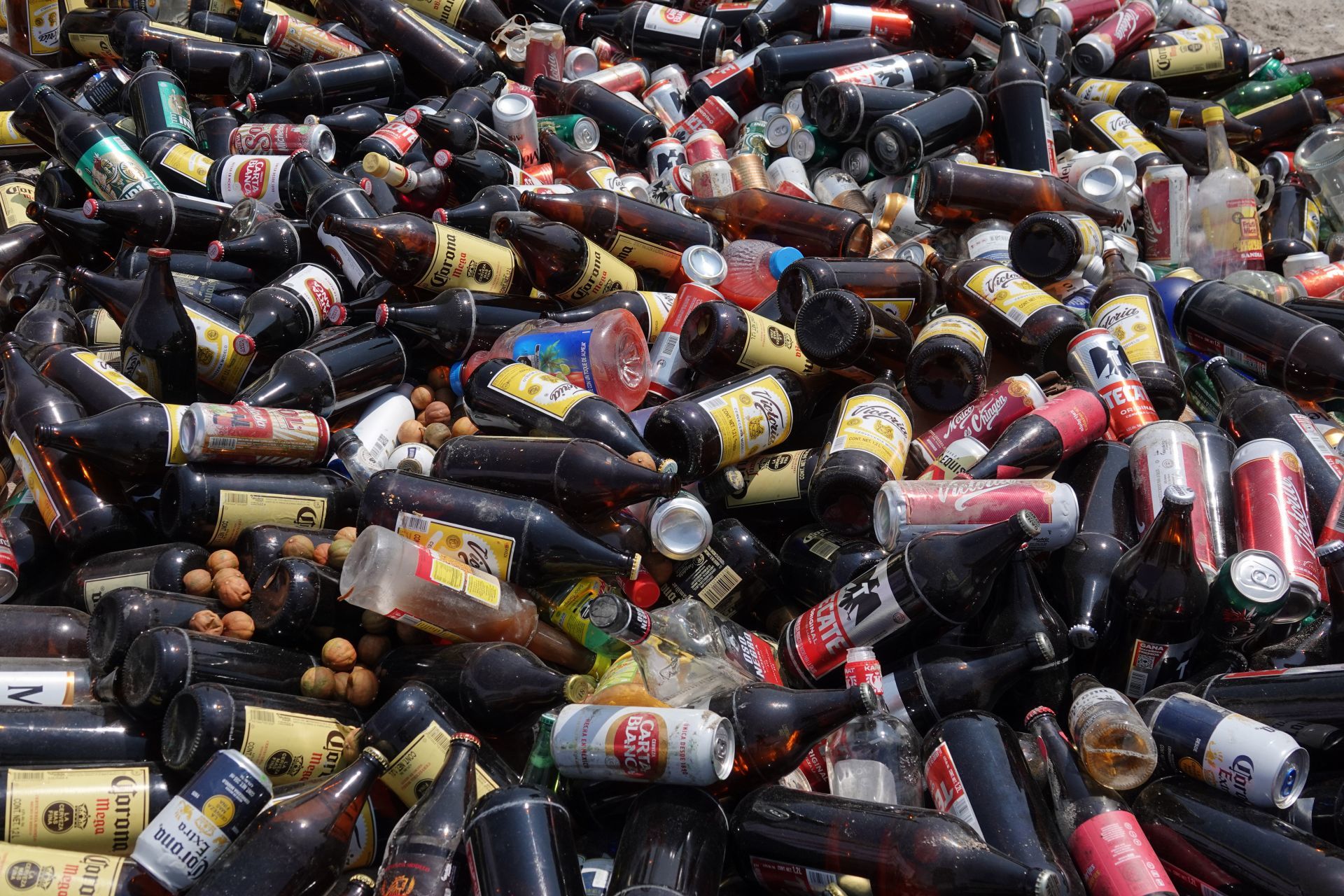 Coyoacán destruye 4 toneladas de cerveza decomisada
