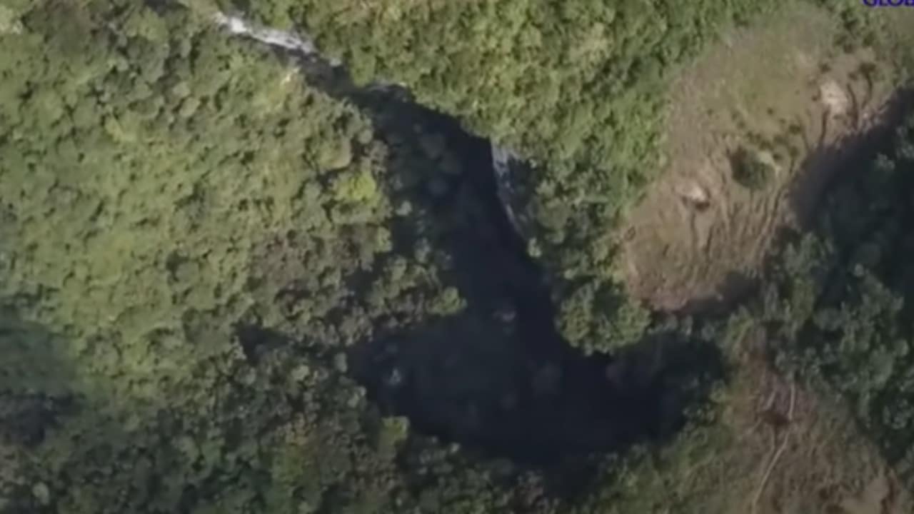 Descubren bosque a 192 metros de profundidad de un gigante sumidero