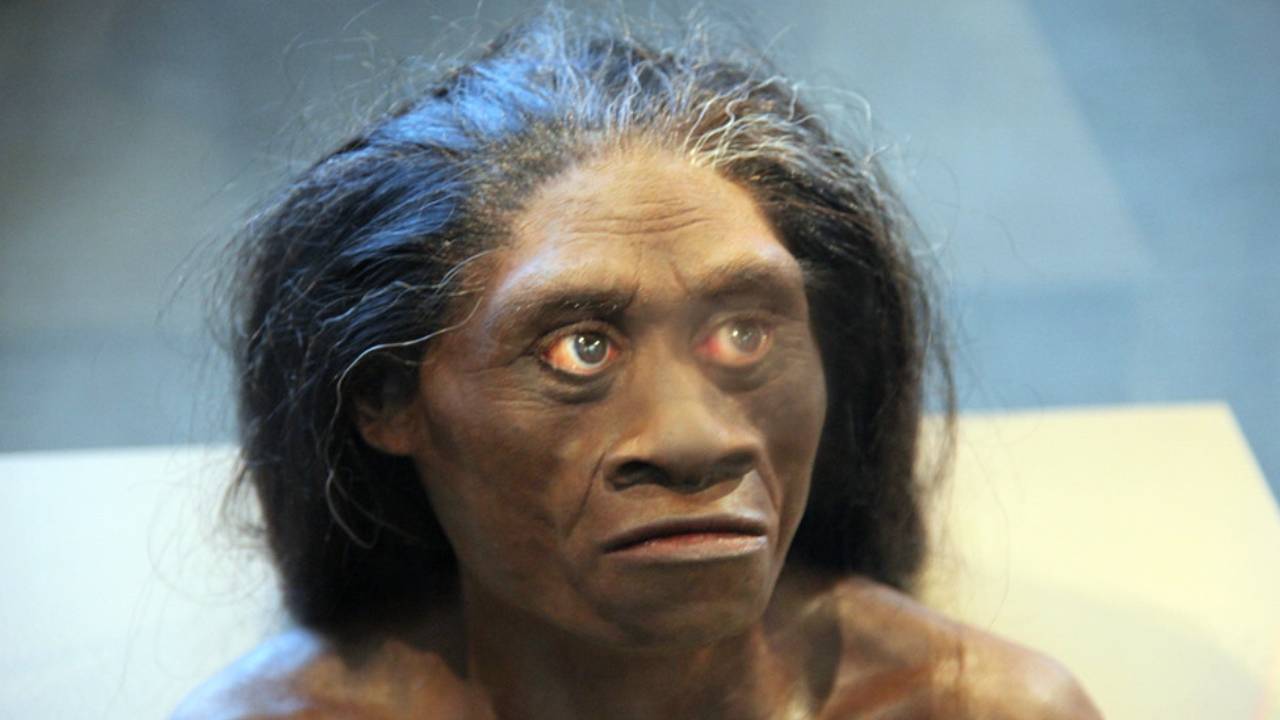 Especies humana hobbit Homo florensis, podría seguir viva