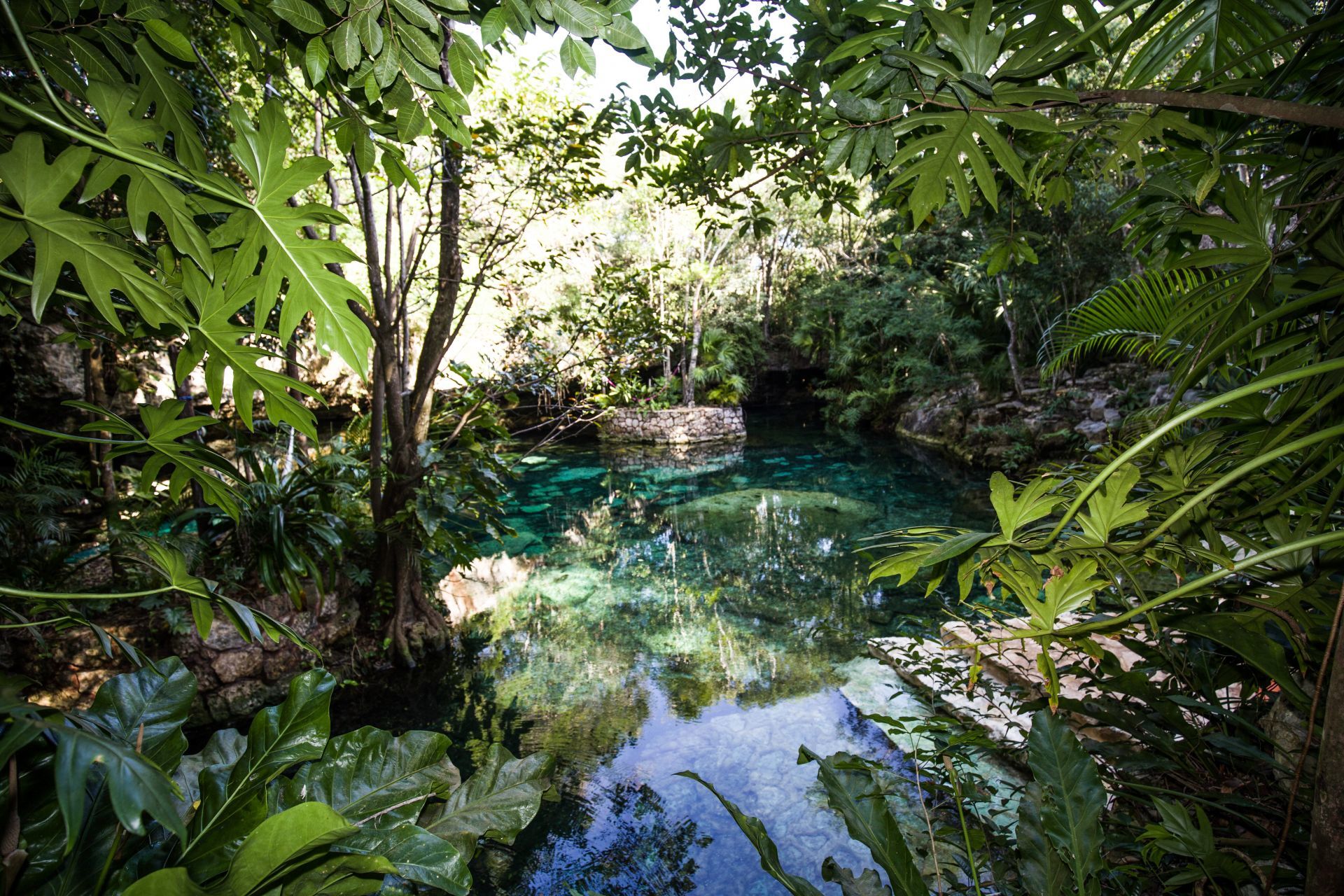 Hallan residuos de cocaína en aguas residuales y acuífero de la Riviera Maya