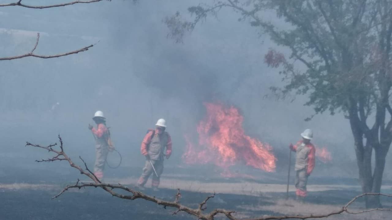 Tres brigadistas sufren quemaduras tras incendio forestal en Cintalapa, Chiapas