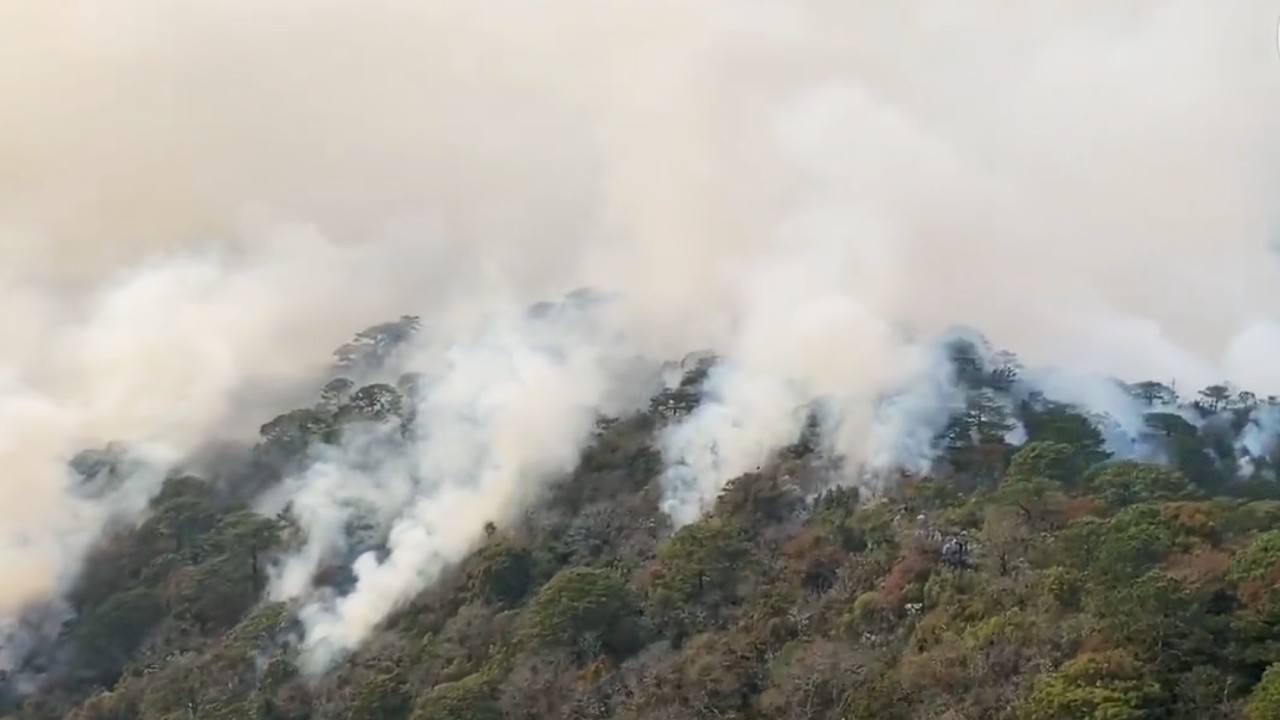Incendios forestales en Tamaulipas afectan biosfera ‘El Cielo’; el panorama no es alentador, dicen autoridades