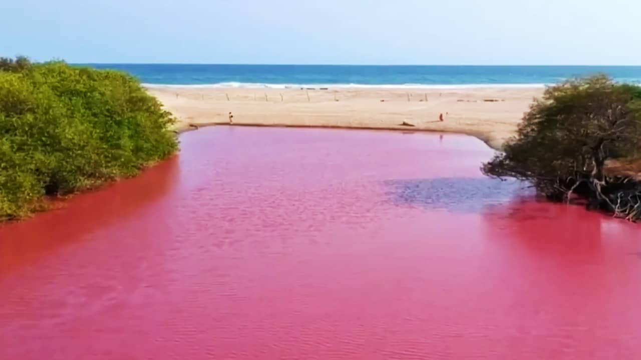 ¿Que provocó que una laguna en la costa de Oaxaca se tiñera de rosa?