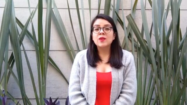 La meteoróloga mexicana, Martha Llanos (N+)