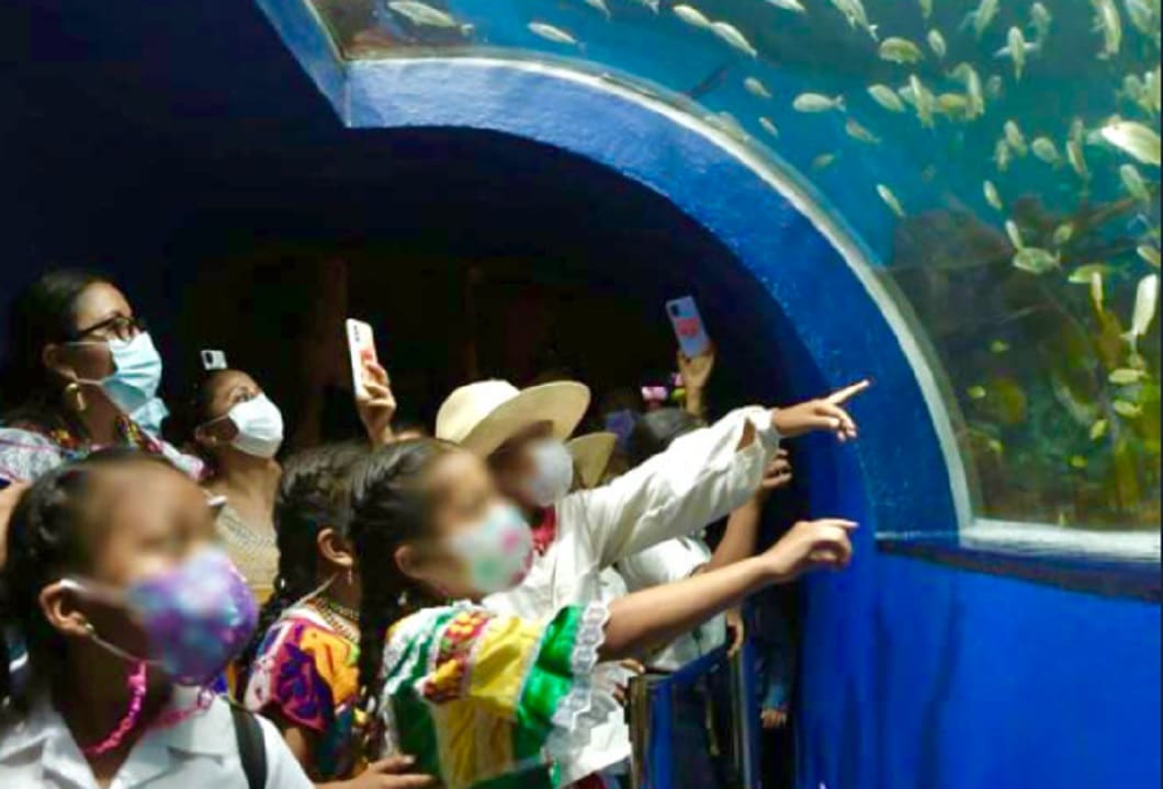 Reabren Aquarium de Veracruz; mantendrá tarifa de acceso