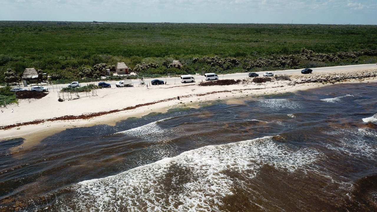 Quintana Roo suma 29 playas en semáforo rojo por el sargazo