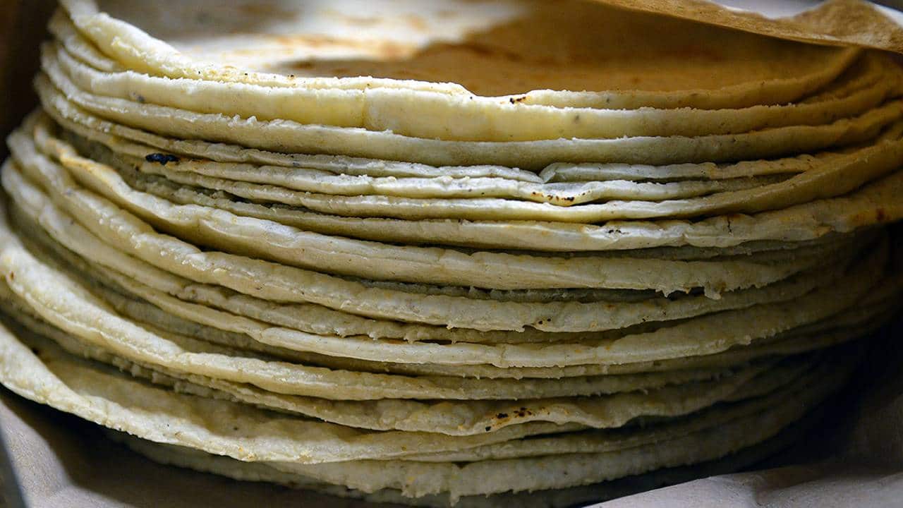 ¿La tortilla de maíz engorda? Esto dicen especialistas UNAM