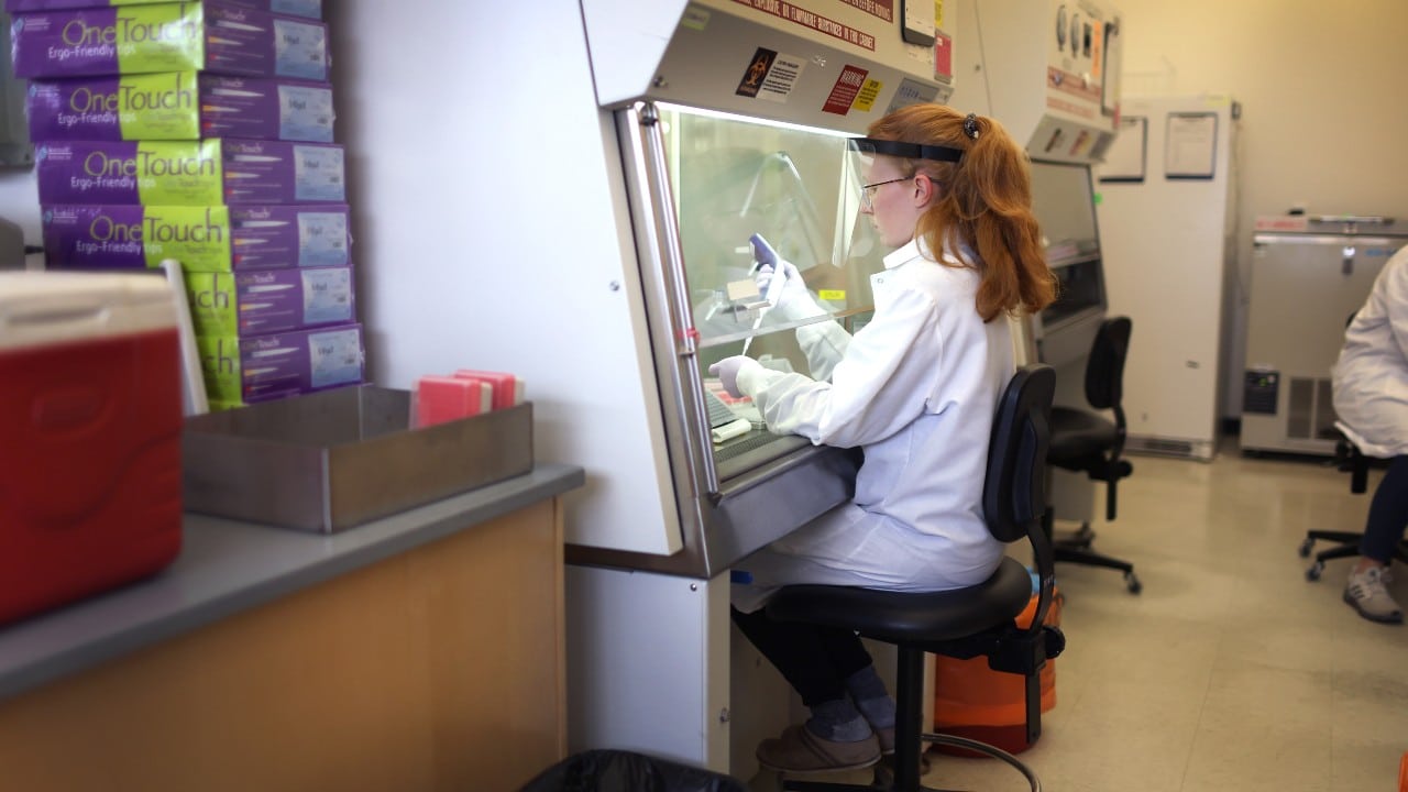 Científicos aíslan virus pariente del Ébola encontrado en cueva de España