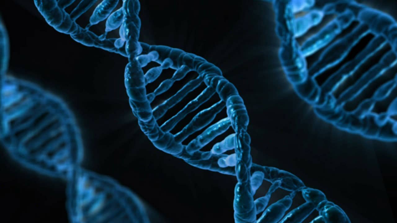 Científicos encuentran mutación genética que causa el lupus