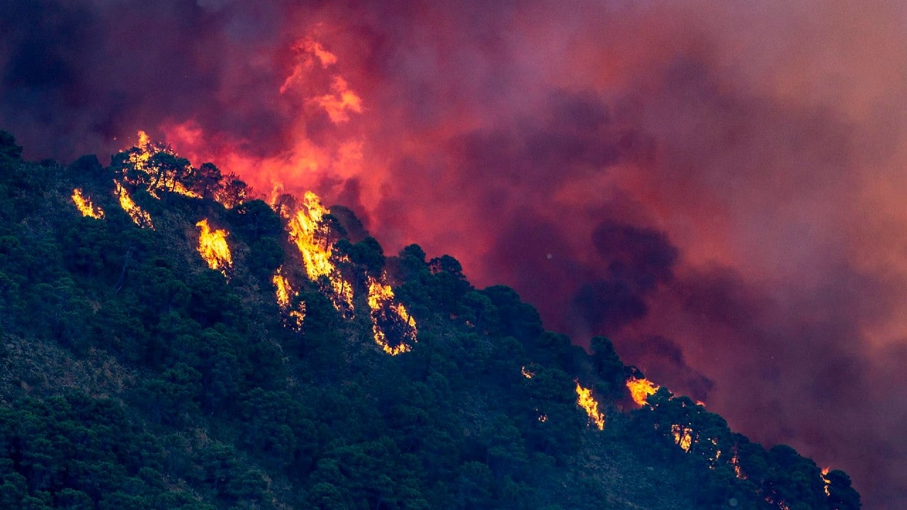 Incendio consume más de 2 mil hectáreas en Málaga, España. Fuente: EFE