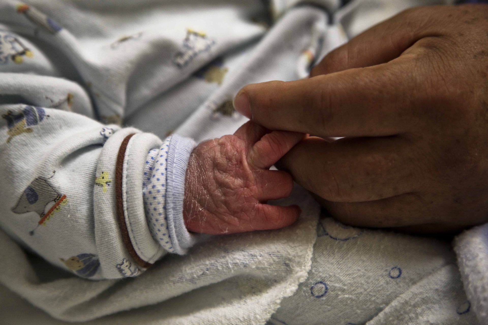 Familiares de bebé, lesionado de una oreja durante cesárea en Baja California, demandan a médicos. FOTO Cuartoscuro