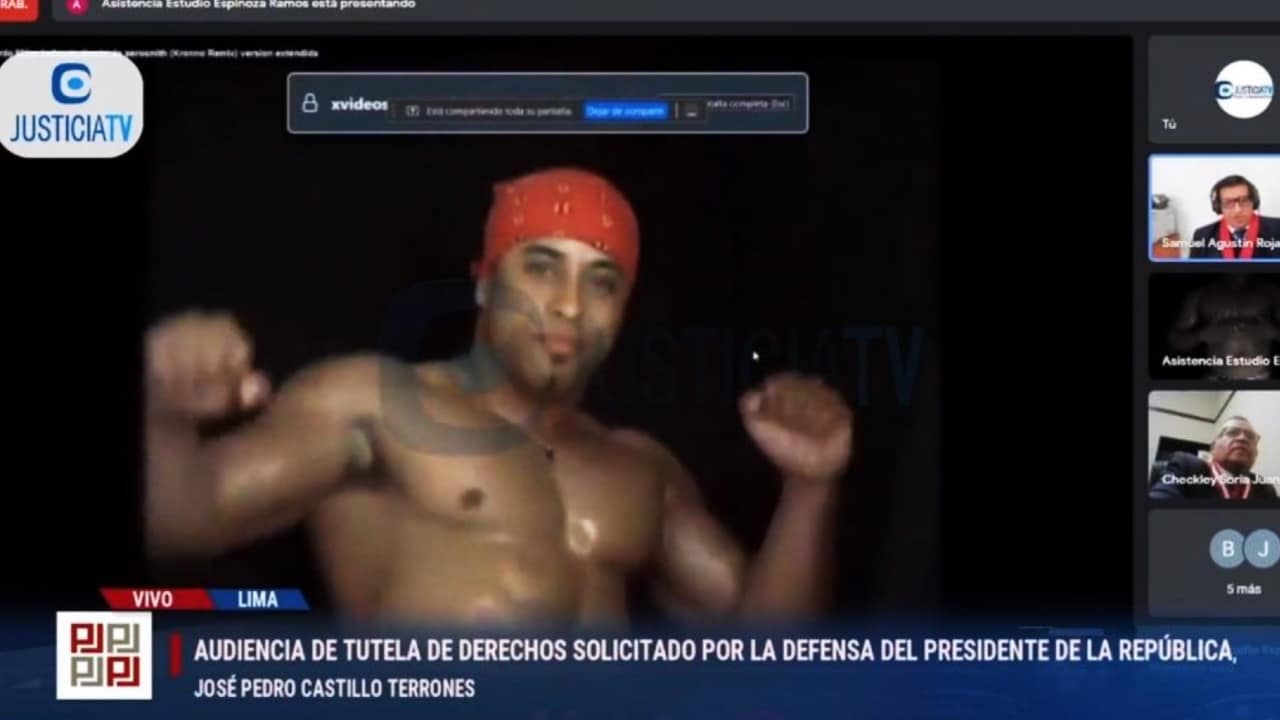Video de bailarín exótico brasileño se filtra en audiencia judicial virtual del presidente de Perú