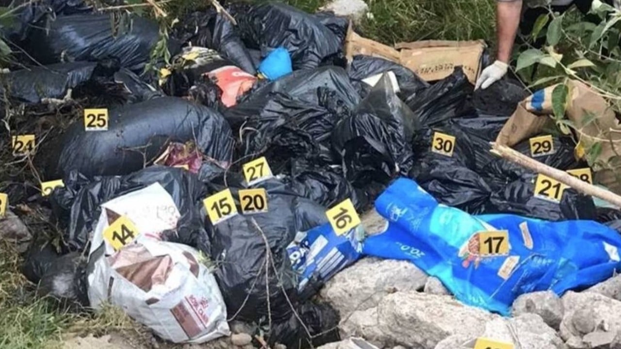 Suman más de 250 cadáveres de perritos hallados en barranca de Naucalpan.