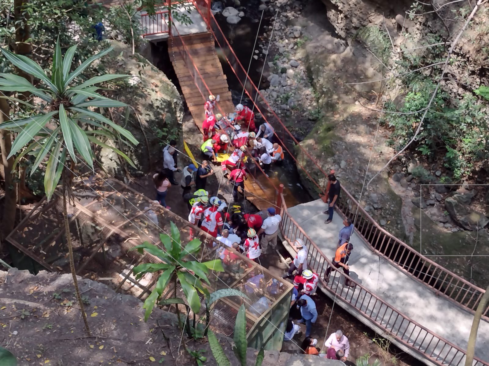 Cae puente colgante en reinauguración en Cuernavaca – Noticieros Televisa