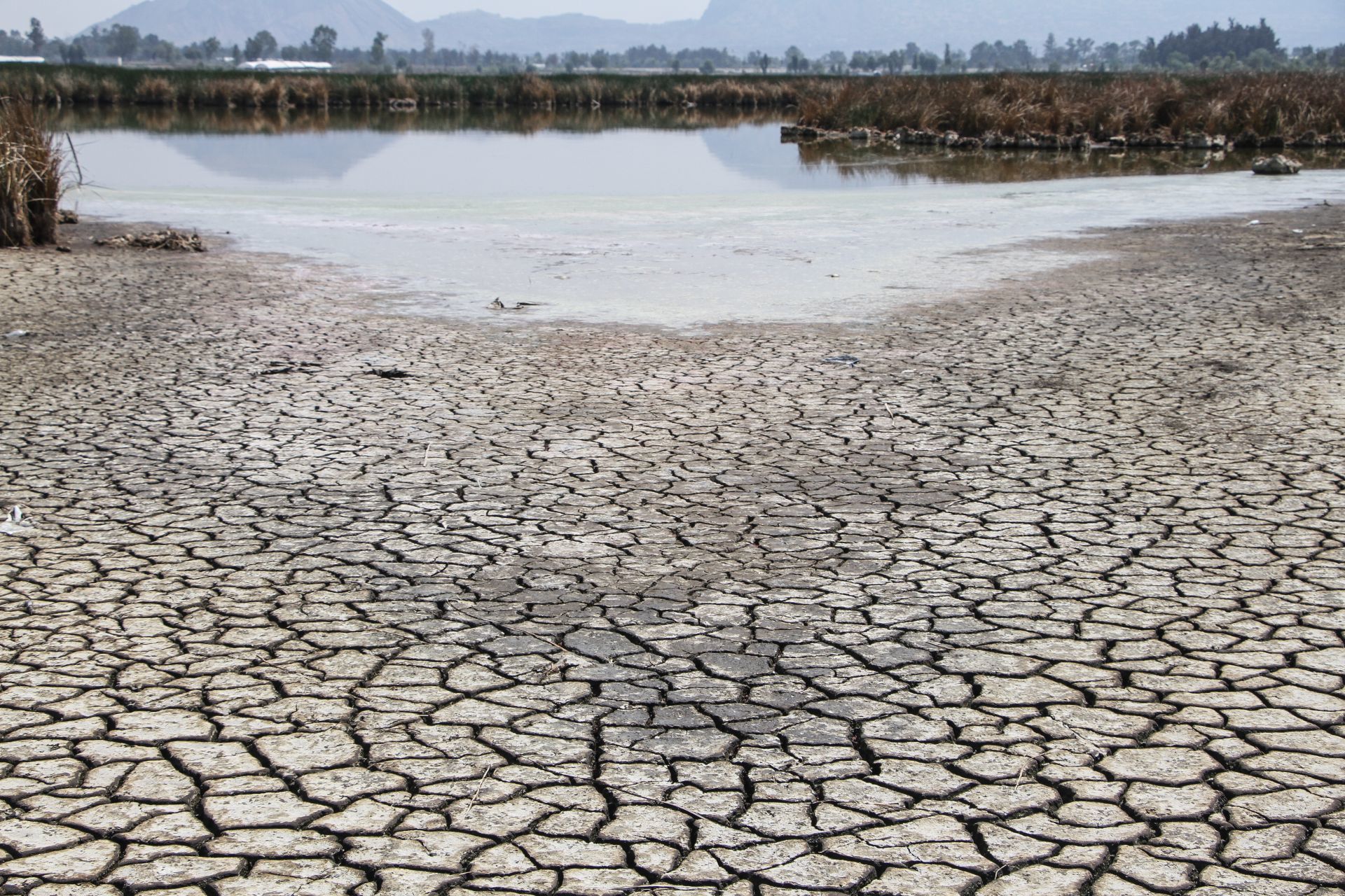 Sequía y falta de agua ya son un problema a nivel nacional