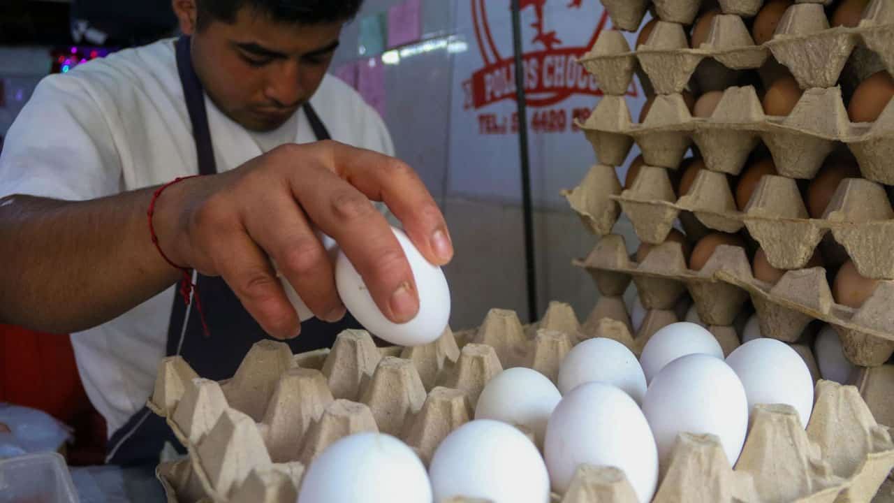 Cuánto debe costar el kilo de huevo según Profeco