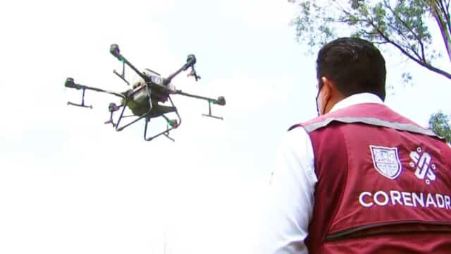 Con drones de alta tecnología, reforestan bosques de la CDMX