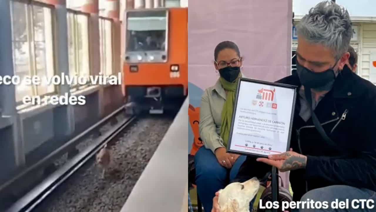 Reconocimiento a conductor del Metro de la CDMX por salvar a perro Teco en la Línea B