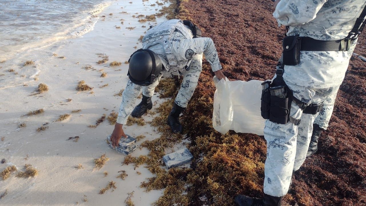 Hallan entre el sargazo paquetes con droga en una playa de Tulum