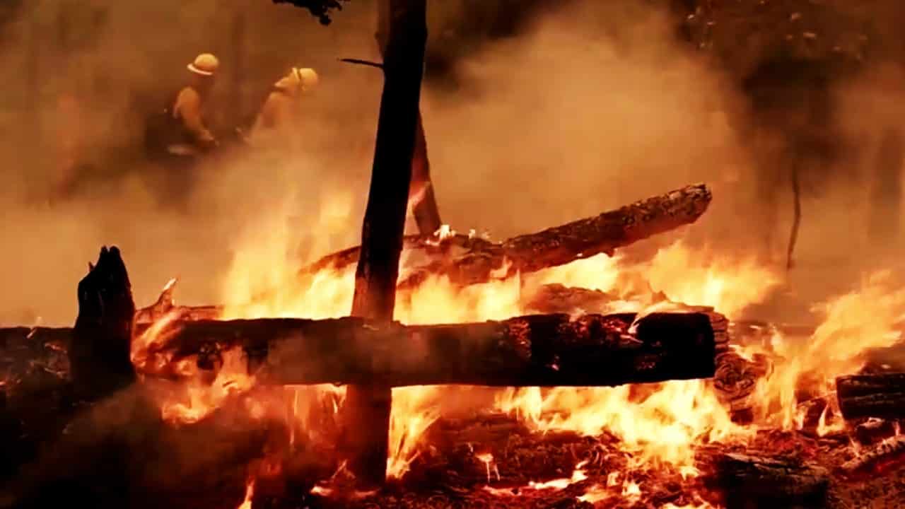 El gigantesco incendio forestal Oak se propaga con ‘velocidad sin precedentes’ en California