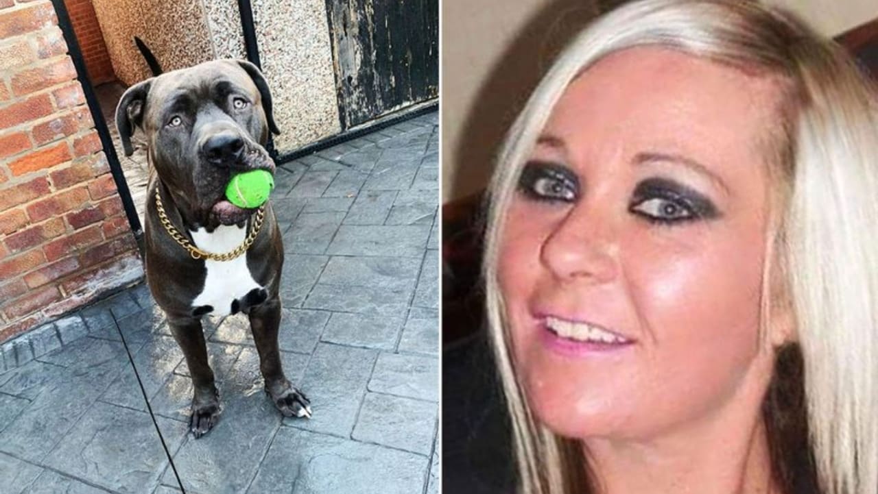 Mujer Joanne Robinson muere tras ataque de su perro en Inglaterra